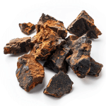 chaga