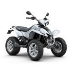 Сертификат на квадроциклы