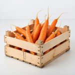 Сертификат на морковь